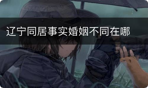 辽宁同居事实婚姻不同在哪