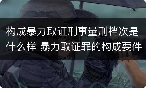 构成暴力取证刑事量刑档次是什么样 暴力取证罪的构成要件