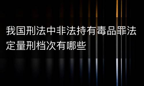我国刑法中非法持有毒品罪法定量刑档次有哪些