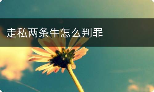 走私两条牛怎么判罪