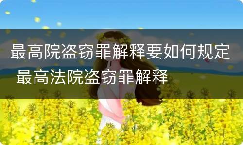 最高院盗窃罪解释要如何规定 最高法院盗窃罪解释