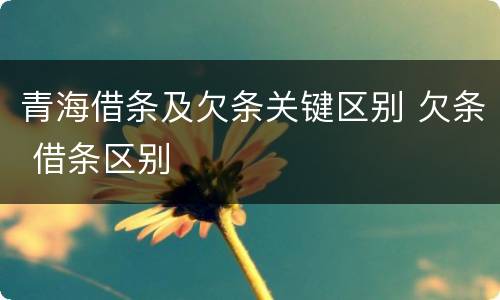 青海借条及欠条关键区别 欠条 借条区别