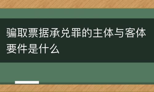 骗取票据承兑罪的主体与客体要件是什么