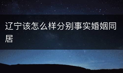 辽宁该怎么样分别事实婚姻同居