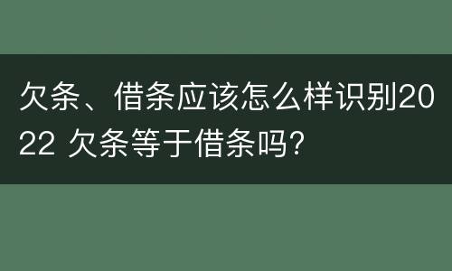 欠条、借条应该怎么样识别2022 欠条等于借条吗?