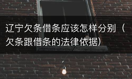 辽宁欠条借条应该怎样分别（欠条跟借条的法律依据）