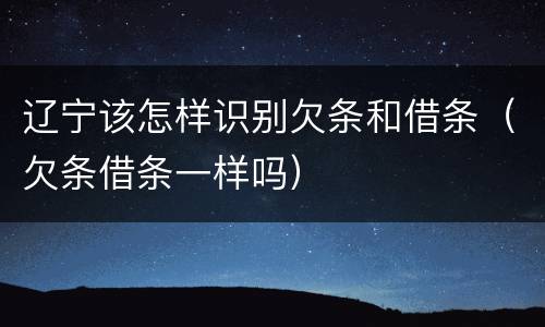 辽宁该怎样识别欠条和借条（欠条借条一样吗）