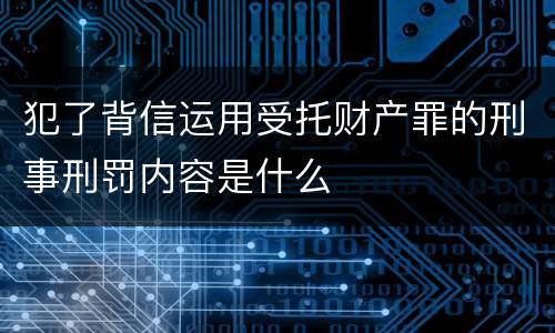 犯了背信运用受托财产罪的刑事刑罚内容是什么
