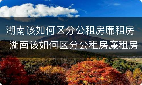 湖南该如何区分公租房廉租房 湖南该如何区分公租房廉租房和商品房