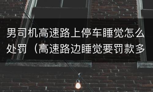男司机高速路上停车睡觉怎么处罚（高速路边睡觉要罚款多少钱）
