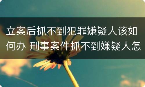 立案后抓不到犯罪嫌疑人该如何办 刑事案件抓不到嫌疑人怎么办