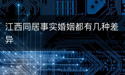 江西同居事实婚姻都有几种差异