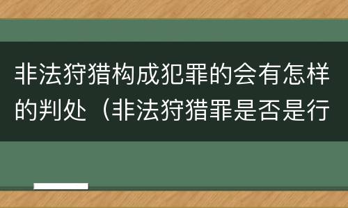 非法狩猎构成犯罪的会有怎样的判处（非法狩猎罪是否是行为犯）