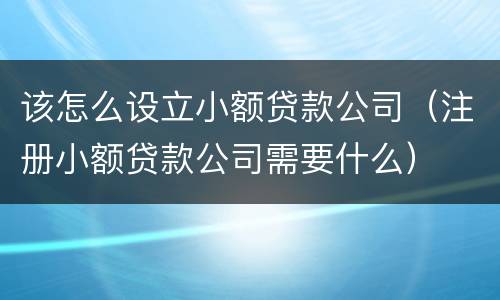 该怎么设立小额贷款公司（注册小额贷款公司需要什么）