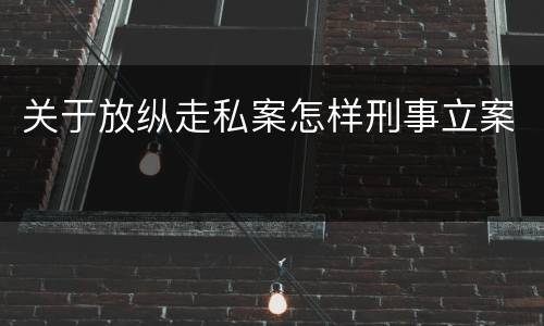 关于放纵走私案怎样刑事立案
