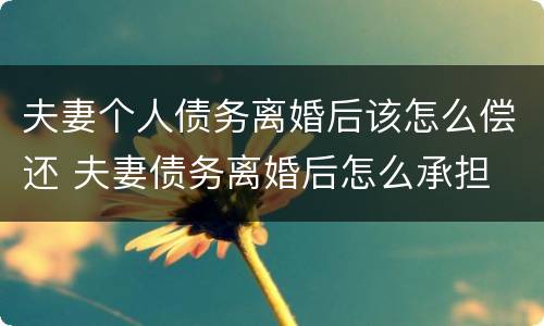 夫妻个人债务离婚后该怎么偿还 夫妻债务离婚后怎么承担