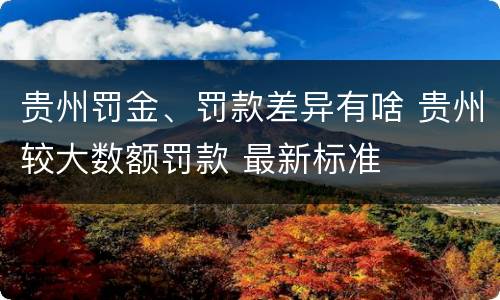 贵州罚金、罚款差异有啥 贵州较大数额罚款 最新标准