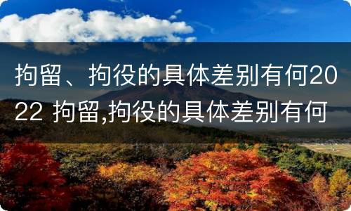 拘留、拘役的具体差别有何2022 拘留,拘役的具体差别有何2022规定