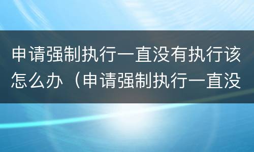 申请强制执行一直没有执行该怎么办（申请强制执行一直没有执行该怎么办理）