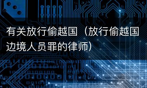 有关放行偷越国（放行偷越国边境人员罪的律师）