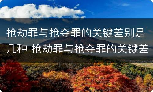 抢劫罪与抢夺罪的关键差别是几种 抢劫罪与抢夺罪的关键差别是几种形态