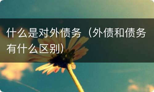 什么是对外债务（外债和债务有什么区别）