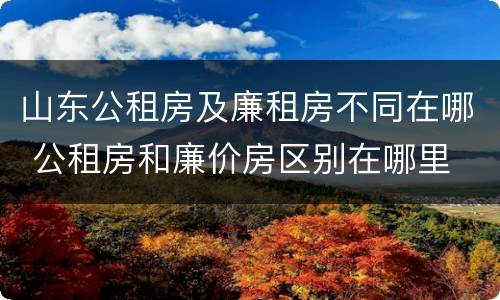山东公租房及廉租房不同在哪 公租房和廉价房区别在哪里