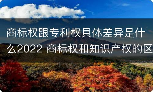 商标权跟专利权具体差异是什么2022 商标权和知识产权的区别