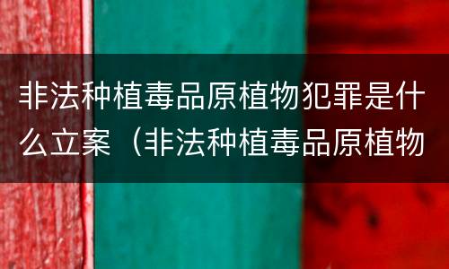 非法种植毒品原植物犯罪是什么立案（非法种植毒品原植物罪中的种植）