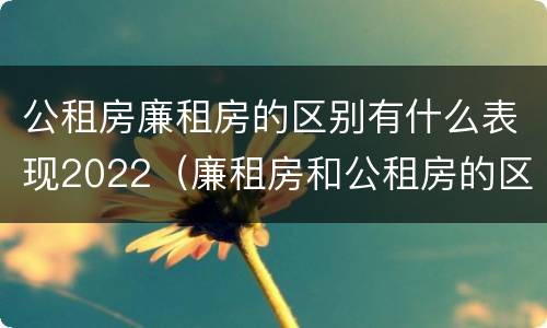 公租房廉租房的区别有什么表现2022（廉租房和公租房的区别）