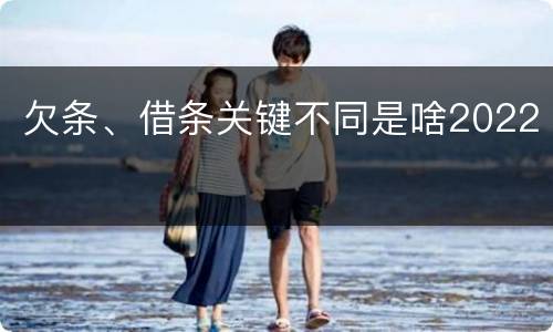 欠条、借条关键不同是啥2022