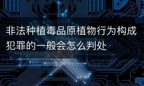 非法种植毒品原植物行为构成犯罪的一般会怎么判处