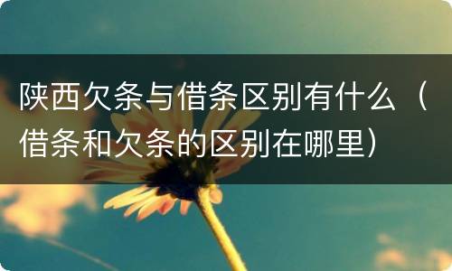 陕西欠条与借条区别有什么（借条和欠条的区别在哪里）