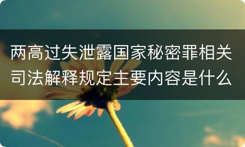两高过失泄露国家秘密罪相关司法解释规定主要内容是什么