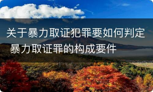 关于暴力取证犯罪要如何判定 暴力取证罪的构成要件