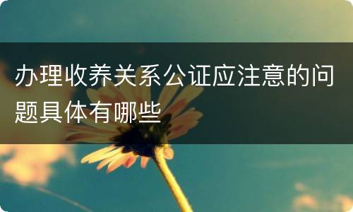 办理收养关系公证应注意的问题具体有哪些