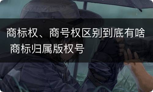 商标权、商号权区别到底有啥 商标归属版权号