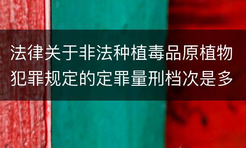 法律关于非法种植毒品原植物犯罪规定的定罪量刑档次是多少