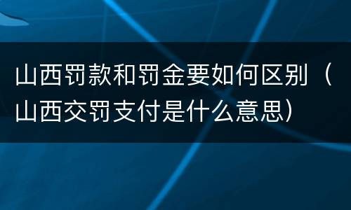 山西罚款和罚金要如何区别（山西交罚支付是什么意思）