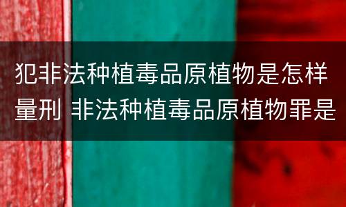 犯非法种植毒品原植物是怎样量刑 非法种植毒品原植物罪是什么犯罪类型