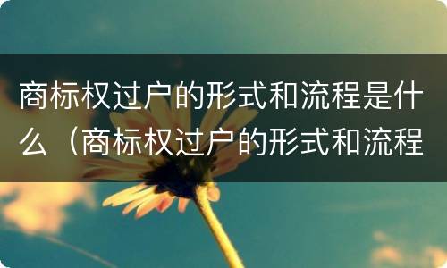 商标权过户的形式和流程是什么（商标权过户的形式和流程是什么）