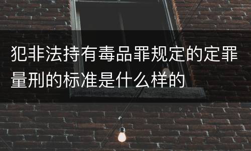犯非法持有毒品罪规定的定罪量刑的标准是什么样的