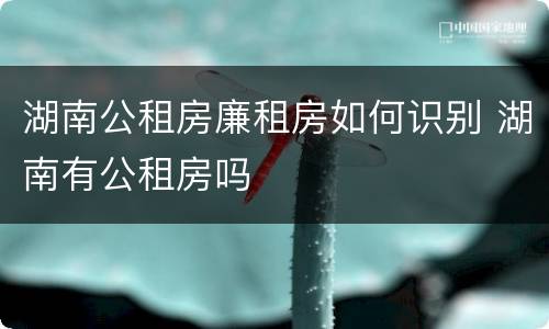 湖南公租房廉租房如何识别 湖南有公租房吗