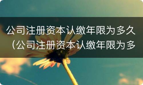 公司注册资本认缴年限为多久（公司注册资本认缴年限为多久）