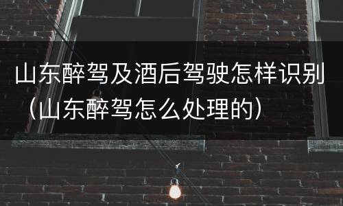 山东醉驾及酒后驾驶怎样识别（山东醉驾怎么处理的）