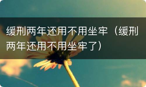 缓刑两年还用不用坐牢（缓刑两年还用不用坐牢了）