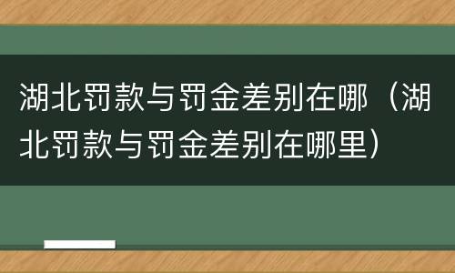 湖北罚款与罚金差别在哪（湖北罚款与罚金差别在哪里）