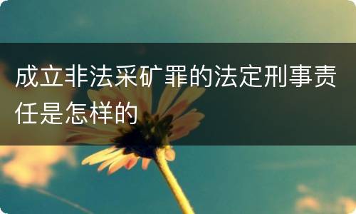 成立非法采矿罪的法定刑事责任是怎样的