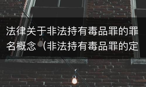 法律关于非法持有毒品罪的罪名概念（非法持有毒品罪的定义）