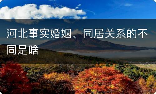 河北事实婚姻、同居关系的不同是啥